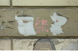 Photo Textures of Wall Plaster